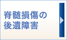 脊髄損傷の後遺障害